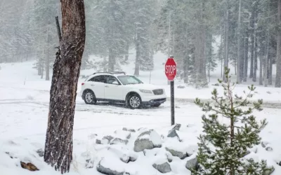 Sicher durch den Winter: 10 wichtige Tipps für Autofahrer